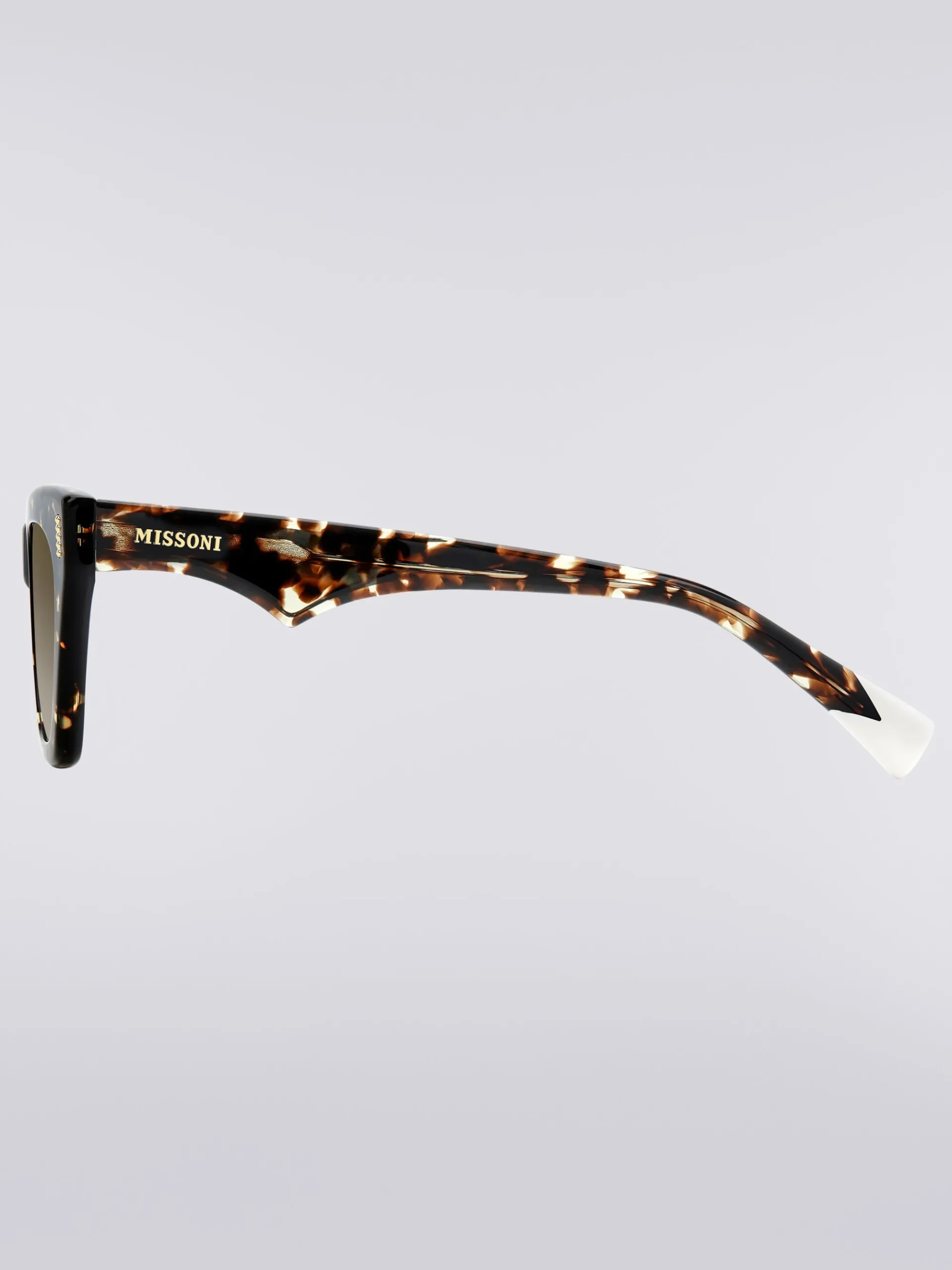 Square acetate sunglasses